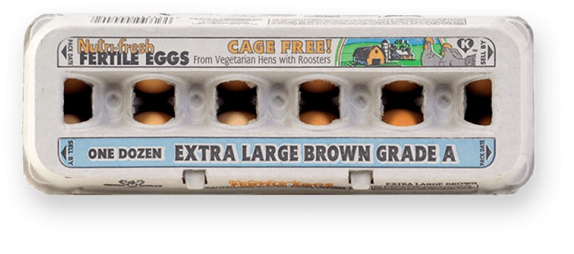 Organic Eggs