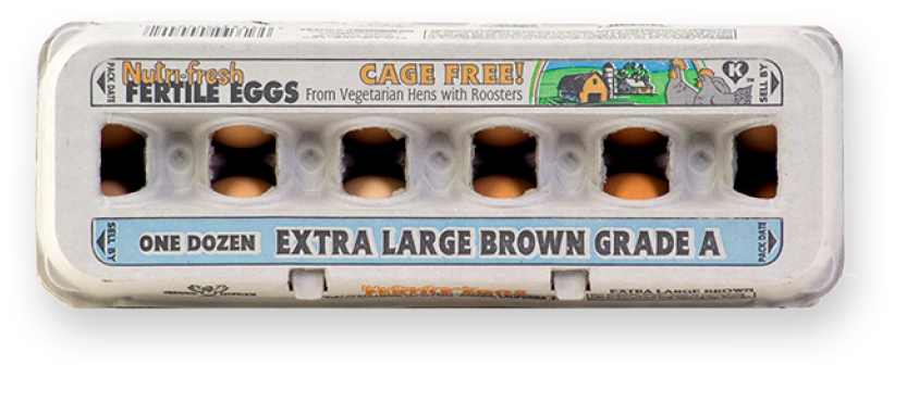 Organic Eggs